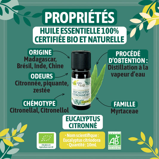 Huile essentielle Eucalyptus citronné Certifiée Bio-1