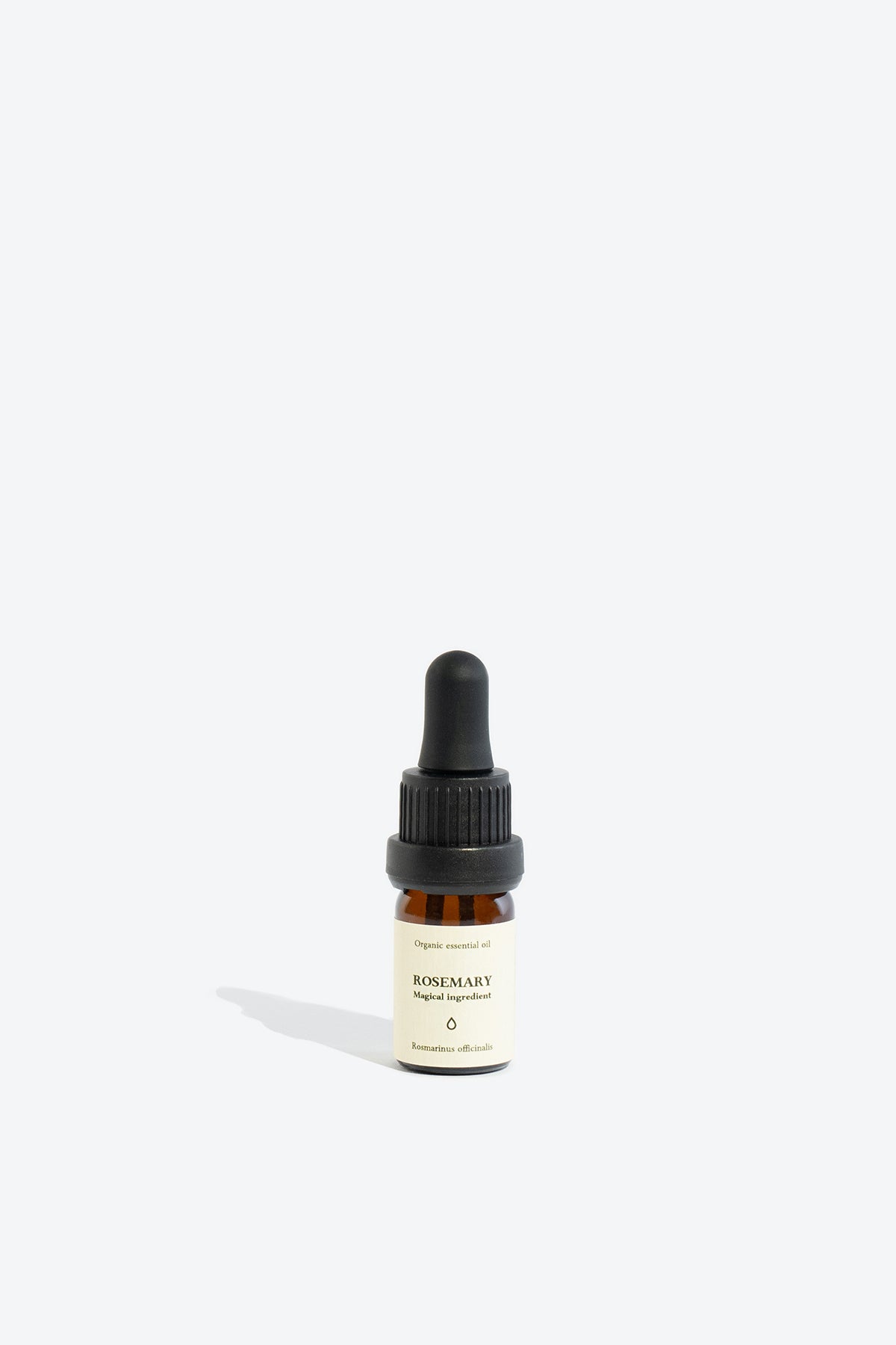 Rosemary essential oil SMELLS LIKE SPELLS Rosmarinus officinalis