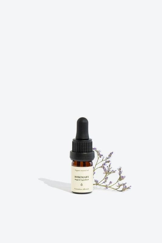 Rosemary essential oil SMELLS LIKE SPELLS Rosmarinus officinalis